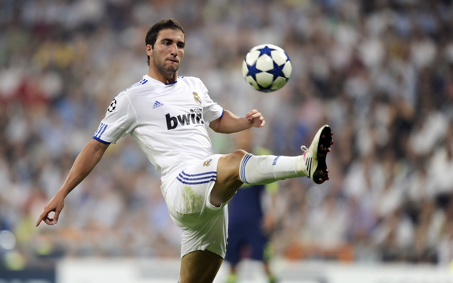 “内线王者：篮下最具统治力的球员”